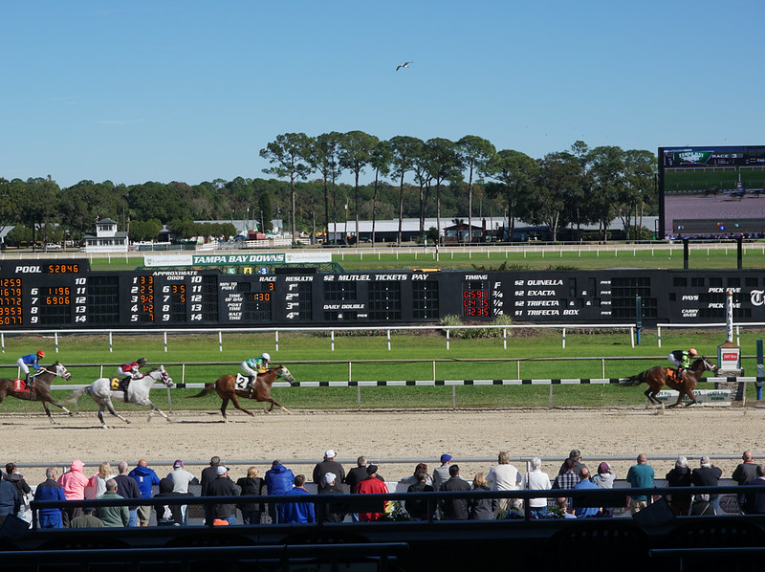 Tampa Bay Downs